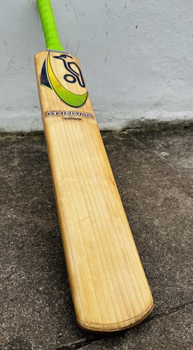 Genuine rare kookaburra - rare,