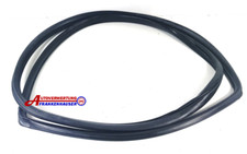 Toyota Rav 4 II door seal door