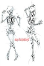 150x50cm Otaku Human skeleton