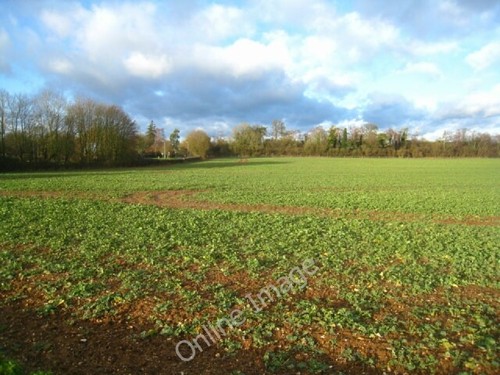 Photo 6x4 lower field - lower, (29.5