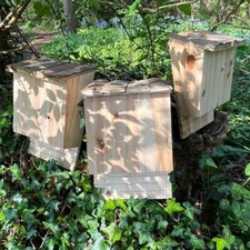 Set of 3 Large Wooden Bat