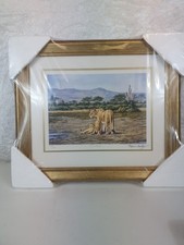 Stephen Gayford Limted Edition