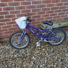 Raleigh KRUSH 20" Girls Bike