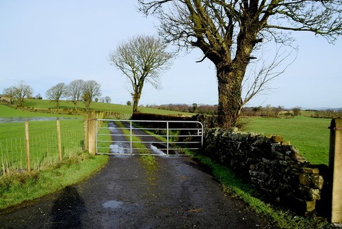 Photo 6x4 gate - 6x4, lane