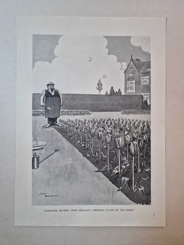 Bateman sergeant dressing - h.m.,