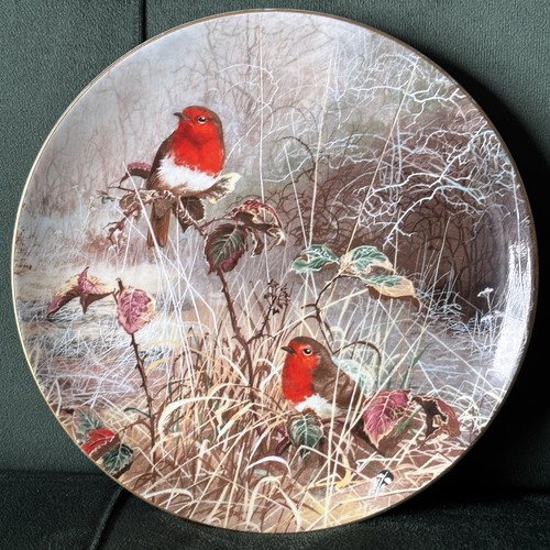 Robin redbreast frosty - redbreast,