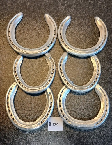 Used aluminium racehorse - 6,
