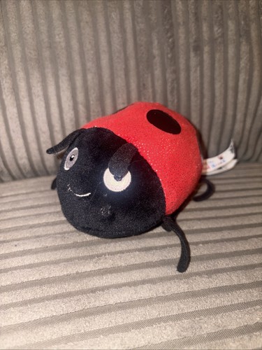What the ladybird - the, heard