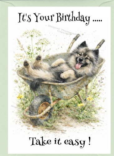 Keeshond dog birthday - dog, (4"