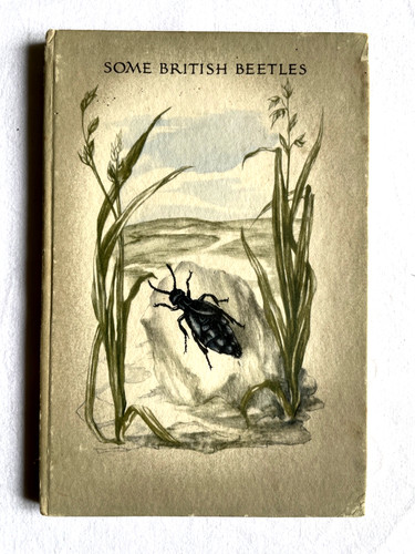 Some british beetles - some, by