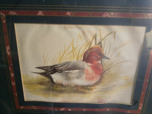 Joel kirk bird print - joel,