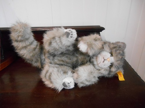 Long steiff grey tabby - grey,