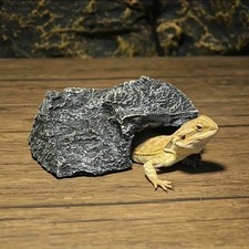 Vivarium Or Fish Tank Hiding