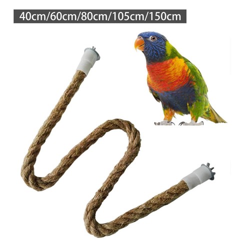 Parrot climbing rope - parrot, bird