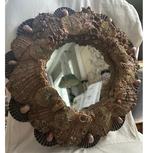 Seashell mirror wall - mirror, 15"