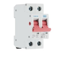 CUSW100-01  BG 100A Main Switch (isolator).
