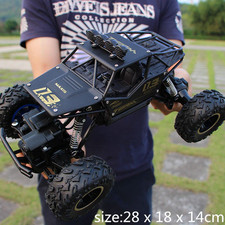 1:16 Large Remote Control RC