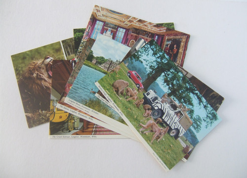 Longleat postcards lions - longleat,