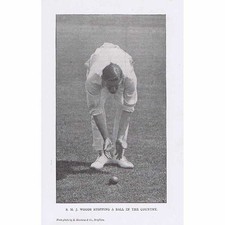 CRICKET SMJ Woods Somerset CCC