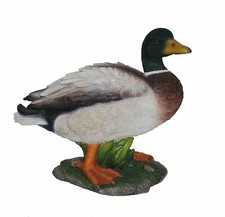 Vivid Arts - Real Life Mallard