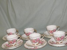 Delphine China 18-Pcs. Phlox