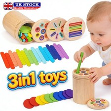 Color Sorting Montessori