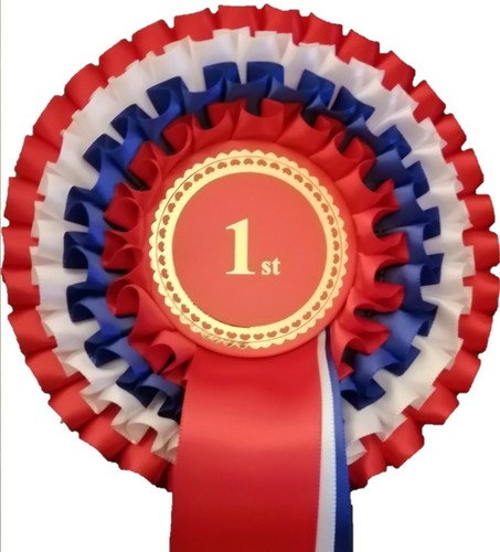 Large 1st place tier - tier, rosette