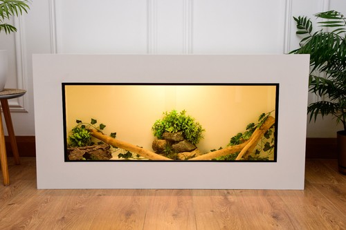 Large 2 modern reptile - 4, x