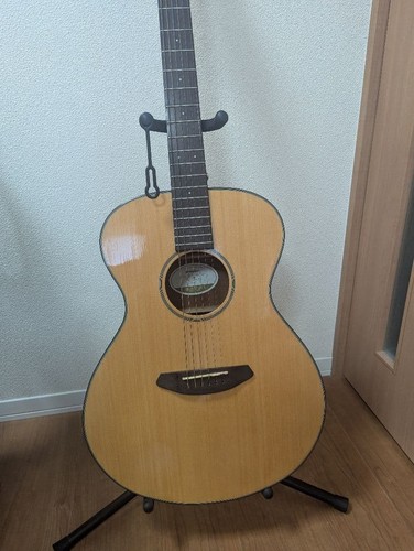 Breedlove discovery concert - breedlove,