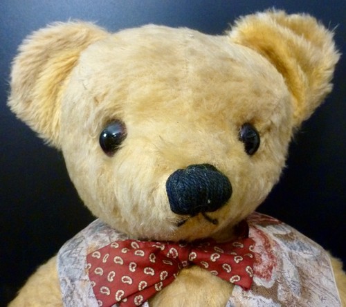 Vintage teddy bear chad - teddy, bear,