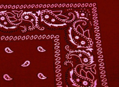 Extra large paisley - extra,