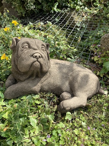 Stone garden shar pei - shar-pei, pug