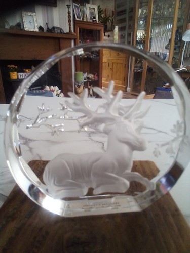 Glass paperweight the - , danbry