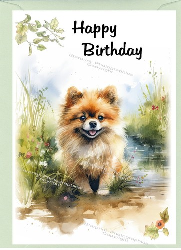 Pomeranian dog birthday card - pomeranian,