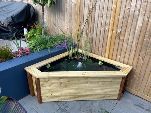 Raised garden pond - garden, w/seat