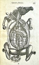 Horse FarrIer: Travel Pocket