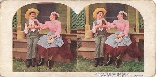 Stereoscopic view card no69 - view,