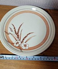 Vintage Biltons 22.5cm Dinner