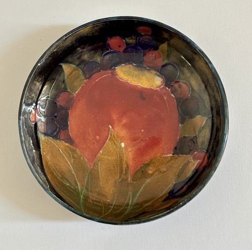 Early moorcroft pomegranate - early,
