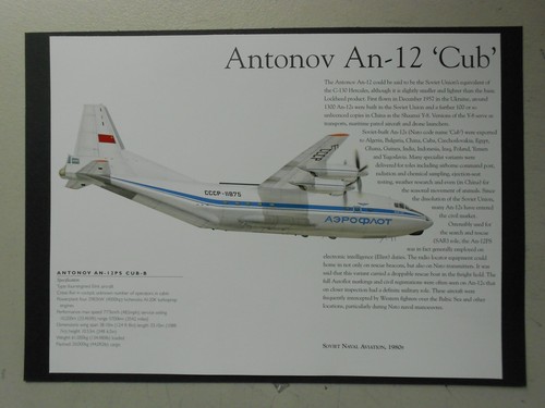Airforce aviation print - airforce, print-