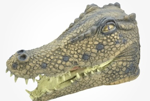 Adults crocodile alligator - adults,
