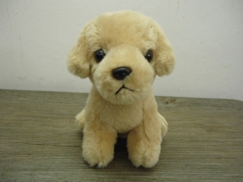 Guide dogs for the blind - dogs,