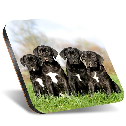 Square coaster 12cm cane - square,