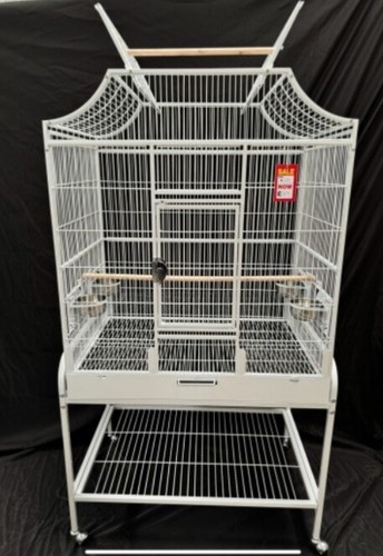 Parrot supplies tampa open - parrot-supplies,