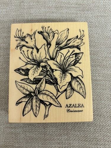 Vintage psx azalea - vintage,