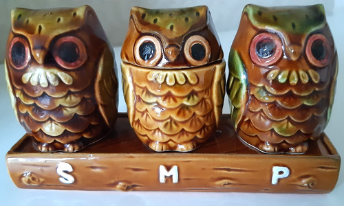Vintage owl cruet piece set - vintage,
