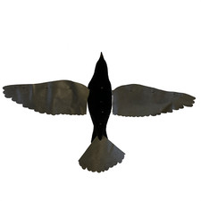Pro-flap Crow Decoy with
