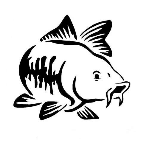 Carp fishing car window bumper - carp,