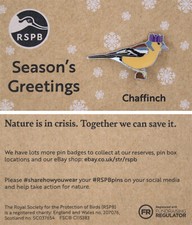 RSPB Pin Badge NIIC Special Christmas Chaffinch P03146