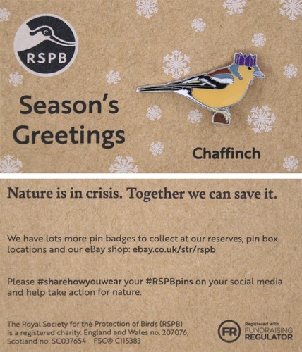 Rspb pin badge - rspb, niic